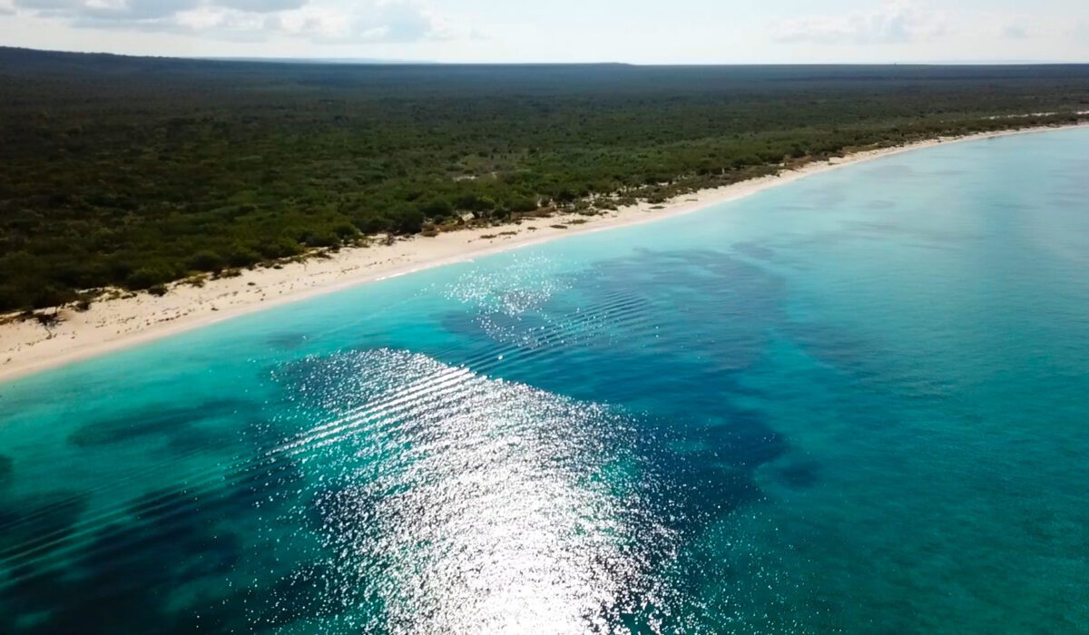 Vista panorámica de la playa virgen de Bahía de las Águilas con aguas turquesas y arena blanca sin edificaciones.